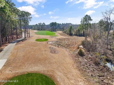 Incredible custom home in the Reserve section of St James on Members Club At St. James Plantation in North Carolina - for sale on GolfHomes.com, golf home, golf lot