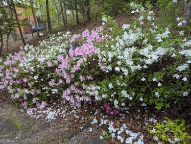 This refined mountain retreat delivers a rare combination of on Old Union Golf Course in Georgia - for sale on GolfHomes.com, golf home, golf lot