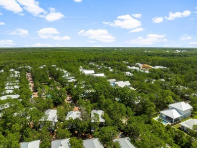 Welcome to 499 Patina Boulevard in Magnolia Cottages.  This on Camp Creek Golf Course in Florida - for sale on GolfHomes.com, golf home, golf lot