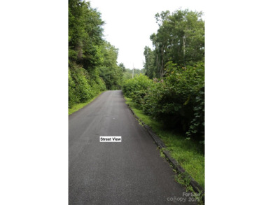 Priced well below assessed value. Owner will consider reasonable on Mt. Mitchell Golf Course in North Carolina - for sale on GolfHomes.com, golf home, golf lot