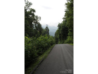 Priced well below assessed value. Owner will consider reasonable on Mt. Mitchell Golf Course in North Carolina - for sale on GolfHomes.com, golf home, golf lot