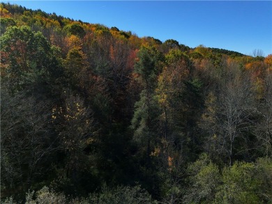 Great opportunity for a subdivision or building your dream home on Mountain Top Golf Course in New York - for sale on GolfHomes.com, golf home, golf lot