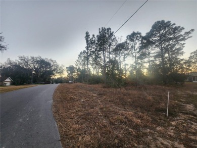 Great location, partially cleared corner lot on the Williston on Williston Highlands Golf and Country Club in Florida - for sale on GolfHomes.com, golf home, golf lot