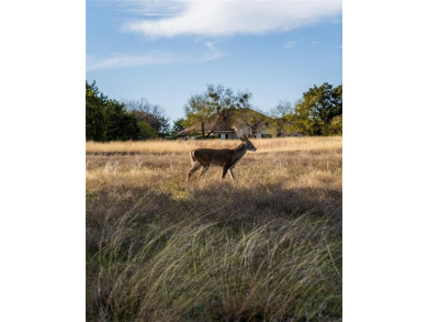 $250 buyer's concession for an acceptable full-price contract by on White Bluff Resort - New Course in Texas - for sale on GolfHomes.com, golf home, golf lot