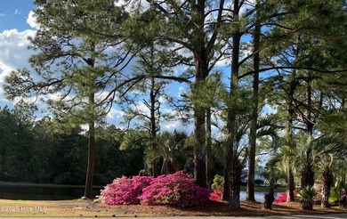 Don't miss the opportunity to move into one of the most on Sandpiper Bay Golf and Country Club in North Carolina - for sale on GolfHomes.com, golf home, golf lot