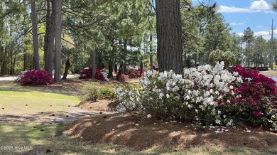 Don't miss the opportunity to move into one of the most on Sandpiper Bay Golf and Country Club in North Carolina - for sale on GolfHomes.com, golf home, golf lot
