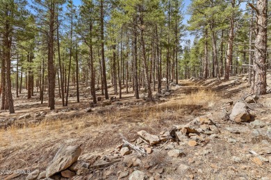2851 and 2937 Ben Brooks Lot #2 and #3 - The Estates at Forest on Forest Highlands Golf Club - The Canyon in Arizona - for sale on GolfHomes.com, golf home, golf lot