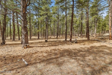 2851 and 2937 Ben Brooks Lot #2 and #3 - The Estates at Forest on Forest Highlands Golf Club - The Canyon in Arizona - for sale on GolfHomes.com, golf home, golf lot