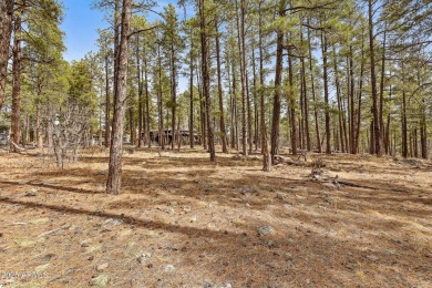 2851 and 2937 Ben Brooks Lot #2 and #3 - The Estates at Forest on Forest Highlands Golf Club - The Canyon in Arizona - for sale on GolfHomes.com, golf home, golf lot