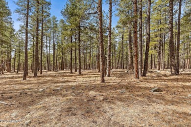 2851 and 2937 Ben Brooks Lot #2 and #3 - The Estates at Forest on Forest Highlands Golf Club - The Canyon in Arizona - for sale on GolfHomes.com, golf home, golf lot