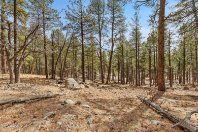 2851 and 2937 Ben Brooks Lot #2 and #3 - The Estates at Forest on Forest Highlands Golf Club - The Canyon in Arizona - for sale on GolfHomes.com, golf home, golf lot