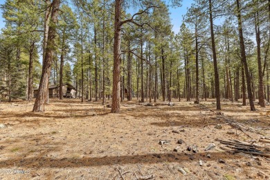 2851 and 2937 Ben Brooks Lot #2 and #3 - The Estates at Forest on Forest Highlands Golf Club - The Canyon in Arizona - for sale on GolfHomes.com, golf home, golf lot