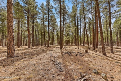 2851 and 2937 Ben Brooks Lot #2 and #3 - The Estates at Forest on Forest Highlands Golf Club - The Canyon in Arizona - for sale on GolfHomes.com, golf home, golf lot
