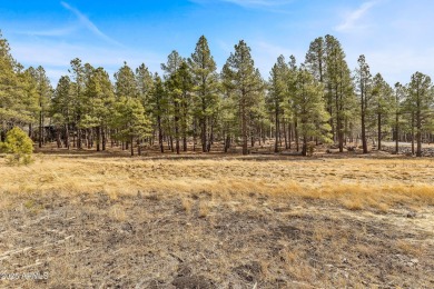 2851 and 2937 Ben Brooks Lot #2 and #3 - The Estates at Forest on Forest Highlands Golf Club - The Canyon in Arizona - for sale on GolfHomes.com, golf home, golf lot