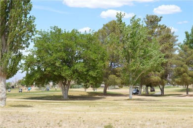 Beautiful Level Lot, Ready to Build! Golf Course on Valle Vista Golf Course in Arizona - for sale on GolfHomes.com, golf home, golf lot