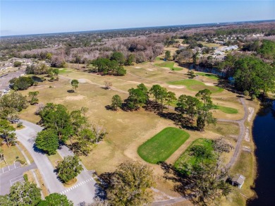 Under contract-accepting backup offers. Enjoy Resort Style on Summertree Golf Course in Florida - for sale on GolfHomes.com, golf home, golf lot