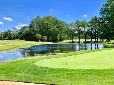 Under contract-accepting backup offers. Enjoy Resort Style on Summertree Golf Course in Florida - for sale on GolfHomes.com, golf home, golf lot