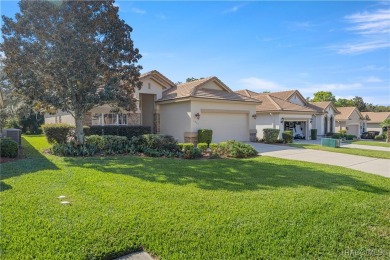 Enjoy the Amazing Savings before its gone! Imagine living in a on Skyview At Terra Vista Golf and Country Club in Florida - for sale on GolfHomes.com, golf home, golf lot