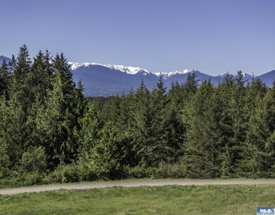 Beautiful parcel up Cays Rd. amongst gorgeous estate homes on on The Cedars At Dungeness in Washington - for sale on GolfHomes.com, golf home, golf lot