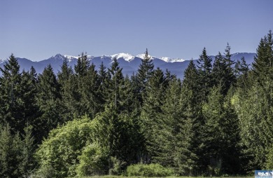 Beautiful parcel up Cays Rd. amongst gorgeous estate homes on on The Cedars At Dungeness in Washington - for sale on GolfHomes.com, golf home, golf lot
