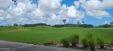 Brand new energy efficient home ready for a buyer NOW.  Modern on LPGA International Golf Course in Florida - for sale on GolfHomes.com, golf home, golf lot