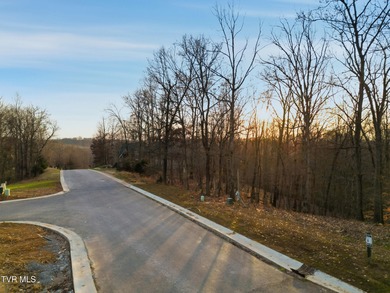 Don't miss your chance to own the largest lot on the street in on Tennessee National Golf Club in Tennessee - for sale on GolfHomes.com, golf home, golf lot