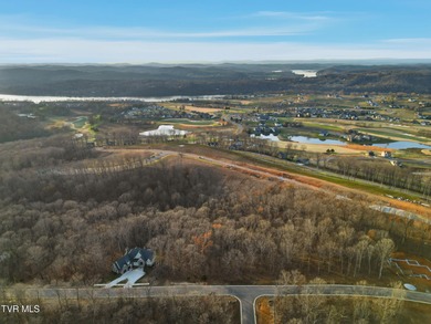 Don't miss your chance to own the largest lot on the street in on Tennessee National Golf Club in Tennessee - for sale on GolfHomes.com, golf home, golf lot