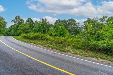 Prime Potential Valley View Lot in The Cliffs at Glassy on The Cliffs at Glassy Golf and Country Club in South Carolina - for sale on GolfHomes.com, golf home, golf lot