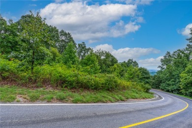 Prime Potential Valley View Lot in The Cliffs at Glassy on The Cliffs at Glassy Golf and Country Club in South Carolina - for sale on GolfHomes.com, golf home, golf lot