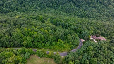 Prime Potential Valley View Lot in The Cliffs at Glassy on The Cliffs at Glassy Golf and Country Club in South Carolina - for sale on GolfHomes.com, golf home, golf lot