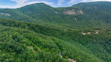 Prime Potential Valley View Lot in The Cliffs at Glassy on The Cliffs at Glassy Golf and Country Club in South Carolina - for sale on GolfHomes.com, golf home, golf lot