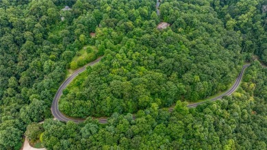 Prime Potential Valley View Lot in The Cliffs at Glassy on The Cliffs at Glassy Golf and Country Club in South Carolina - for sale on GolfHomes.com, golf home, golf lot