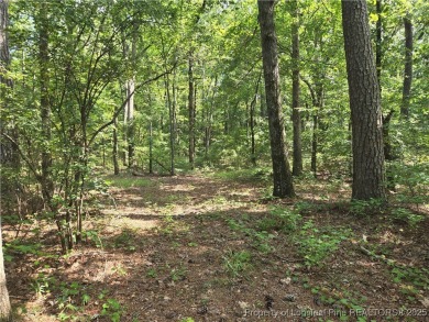 Hardwood trees and a gorgeous view! Build your dream home here on Woodlake Country Club in North Carolina - for sale on GolfHomes.com, golf home, golf lot