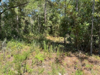 **Your Ideal Retreat: .23 Acres in Williston Highlands** This on Williston Highlands Golf and Country Club in Florida - for sale on GolfHomes.com, golf home, golf lot