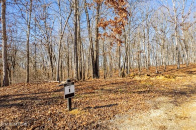 Situated in one of East Tennessee's most sought-after lakefront on Tennessee National Golf Club in Tennessee - for sale on GolfHomes.com, golf home, golf lot