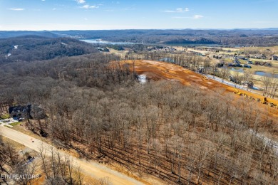 Situated in one of East Tennessee's most sought-after lakefront on Tennessee National Golf Club in Tennessee - for sale on GolfHomes.com, golf home, golf lot