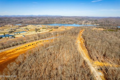 Situated in one of East Tennessee's most sought-after lakefront on Tennessee National Golf Club in Tennessee - for sale on GolfHomes.com, golf home, golf lot