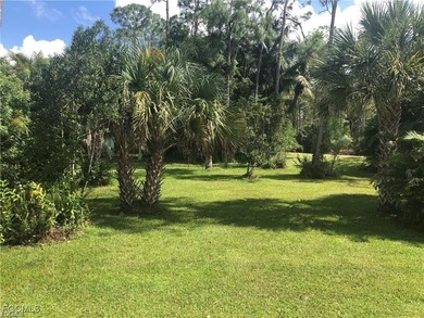 Enjoy this quaint Florida Oasis! Low HOA fees, taxes, and you on Copperleaf Golf Club in Florida - for sale on GolfHomes.com, golf home, golf lot