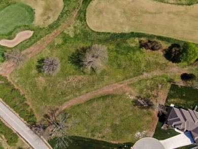 Build Your Dream Home with Unmatched Views in Rivercut! Don't on Rivercut Golf Course in Missouri - for sale on GolfHomes.com, golf home, golf lot
