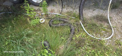 Your Perfect Up North Escape Awaits!  Discover this amazing on Lakeside Golf Course in Michigan - for sale on GolfHomes.com, golf home, golf lot