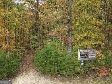 Beautiful 6.9 Level Acres of serenity and beauty in Lookout on McLemore Golf Club in Georgia - for sale on GolfHomes.com, golf home, golf lot