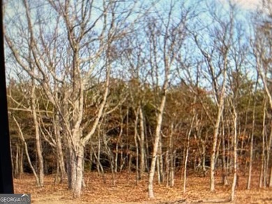 Beautiful 6.9 Level Acres of serenity and beauty in Lookout on McLemore Golf Club in Georgia - for sale on GolfHomes.com, golf home, golf lot