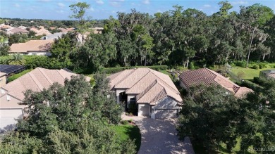 THIS BEAUTIFUL HOME is loaded with upgrades - beginning with the on Skyview At Terra Vista Golf and Country Club in Florida - for sale on GolfHomes.com, golf home, golf lot
