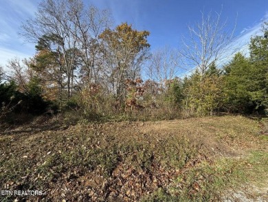 Rare opportunity to own a direct lakefront lot in Toqua Coves on Toqua Golf Course - Loudon County in Tennessee - for sale on GolfHomes.com, golf home, golf lot