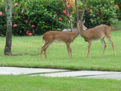 Gorgeous 4th Floor Brookside Condo with WONDERFUL views of Cedar on Cedar Hammock Golf and Country Club in Florida - for sale on GolfHomes.com, golf home, golf lot