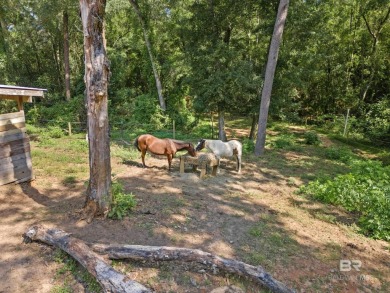 **Beautifully Renovated 3-Bedroom Home with Resort-Style on Lake Forest Yacht and Country Club in Alabama - for sale on GolfHomes.com, golf home, golf lot