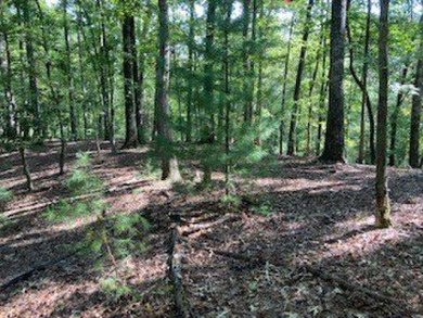 Beautiful upslope building lot at Buckhorn Estates adjoining the on White Path Golf Club in Georgia - for sale on GolfHomes.com, golf home, golf lot