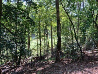 Beautiful upslope building lot at Buckhorn Estates adjoining the on White Path Golf Club in Georgia - for sale on GolfHomes.com, golf home, golf lot