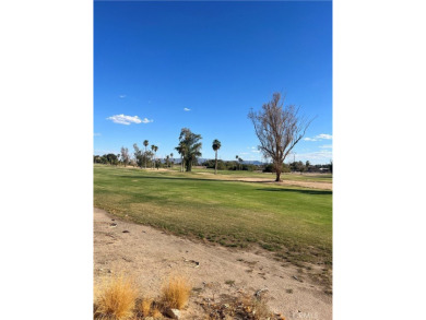 1205 Marina Drive in Needles is a standout property, ideally on Rivers Edge Golf Course in California - for sale on GolfHomes.com, golf home, golf lot