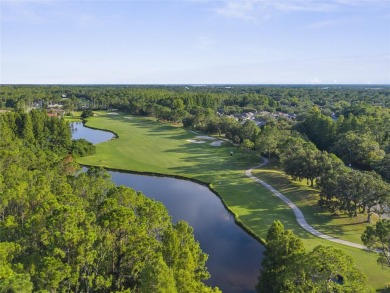 This home is a true SHOWSTOPPER, blending timeless elegance with on Westchase Golf Club in Florida - for sale on GolfHomes.com, golf home, golf lot
